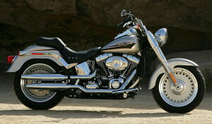 G敗 ǎ|X^[ (͂V[) n[[ _rbh\ FLSTF t@bg{[C oCN LN HDFL-011S2 (603mm×352mm) { EH[XebJ[ C|X^[