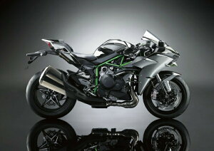�G�敗 �ǎ��|�X�^�[ (�͂�����V�[����) �J���T�L Ninja �j���W�� H2 2015�N �E�� �u���b�N �o�C�N �L�����N�� KNH2-001A2 (A2�� 594mm×420mm) �����{���� �E�H�[���X�e�b�J�[ �����C�|�X�^�[
