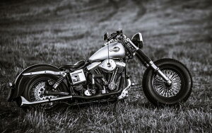 G敗 ǎ|X^[ (͂V[) n[[ _rbh\ FXS [C_[ JX^ Vxwbh 1970N oCN LN HDFX-001W2 (Ch 603mm×376mm) { EH[Xe