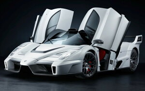 �G�敗 �ǎ��|�X�^�[ (�͂�����V�[����) �t�F���[�� �G���c�H GEMBALLA MIG U1 2010�N �X�[�p�[�J�[ �L�����N�� FENZ-007W2 (���C�h�� 603mm×376mm) �����{���� �E�H�[���X�e�b�J�[ �����C�|�X�^�[