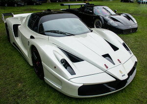 �G�敗 �ǎ��|�X�^�[ (�͂�����V�[����) �t�F���[�� �G���c�H FXX �z�G���C�g ���[�V���O�J�[ �L�����N�� FENZ-009A1 (A1�� 830mm×585mm) �����{���� �E�H�[���X�e�b�J�[ �����C�|�X�^�[