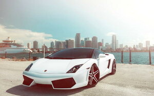 G敗 ǎ|X^[ (͂V[) {M[j Kh LP570-4  C LN LGRD-004W2 (Ch 603mm×376mm) { EH[XebJ[ C|X^[