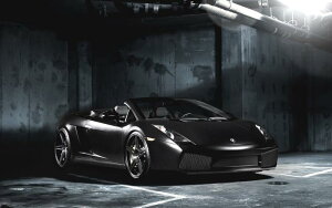 G敗 ǎ|X^[ (͂V[) {M[j Kh LP570-4  I[v LN LGRD-005W2 (Ch 603mm×376mm) { EH[XebJ[ C|X^[