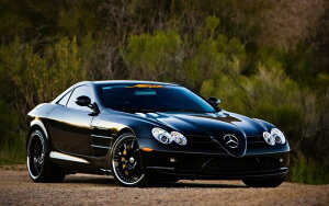 G敗 ǎ|X^[ (͂V[) ZfX xc SLR}N[ 2004N ubN LN MSLR-004W1 (Ch 921mm×576mm) { EH[XebJ[ C|X^[
