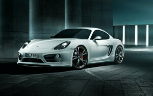 G敗 ǎ|X^[ (͂V[) |VF PC} S zCgGfBV 987^ 2013N LN PCMN-003W2 (Ch 603mm×376mm) { EH[XebJ[ C|X^[