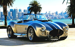 G敗 ǎ|X^[ (͂V[) VFr[ Ru [hX^[ ACJ[Y LN FCCB-007W2 (Ch 603mm×376mm) { EH[XebJ[ C|X^[