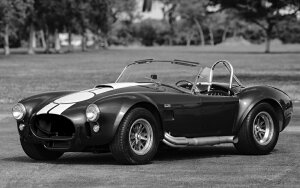 G敗 ǎ|X^[ (͂V[) tH[h VFr[ Ru 427 SC  1967N mN LN FCCB-011W1 (Ch 921mm×576mm) { EH[XebJ[ C|X^[