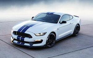 G敗 ǎ|X^[ (͂V[) tH[h VFr[E}X^O GT350 2015N  LN FMTG-021W2 (Ch 603mm×376mm) { EH[XebJ[ C|X^[