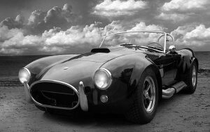 G敗 ǎ|X^[ (͂V[) ACRu tH[h VFr[ mN LN ACCB-009W2 (Ch 603mm×376mm) { EH[XebJ[ C|X^[