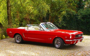 G敗 ǎ|X^[ (͂V[) tH[h }X^O Ro[`u Be[W LN FMTG-001W2 (Ch 603mm×376mm) { EH[XebJ[ C|X^[