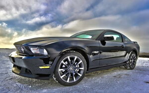 G敗 ǎ|X^[ (͂V[) tH[h }X^O V8 LN FMTG-005W1 (Ch 921mm×576mm) { EH[XebJ[ C|X^[