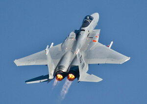 G敗 ǎ|X^[ (͂V[) 퓬@ F-15E XgCNC[O ċR {[CO _OX LN UAFT-005A2 (A2 594mm×420mm) { EH[XebJ[ C|X^[