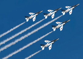 楽天市場 ジャンル別 全アイテム ミリタリー 自衛隊 レアルインターショップ