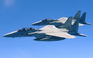 G敗 ǎ|X^[ (͂V[) q󎩉q F-15DJ(^) & F-15J(P^) C[O 퓬@ JASDF  ~^[ LN JASD-006W2 (Ch 603mm×376mm) { EH[XebJ