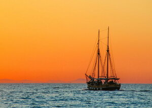 G敗 ǎ|X^[ (͂V[) D bg [Ă v TZbg Nbp[ qC C LN SSHP-022A1 (A1 830mm×585mm) { EH[XebJ[ C|X^[