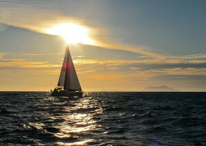 G敗 ǎ|X^[ (͂V[) bg TCYEZ[O ̏o z Ă D C LN SYHT-012A2 (A2 594mm×420mm) { EH[XebJ[ C|X^[