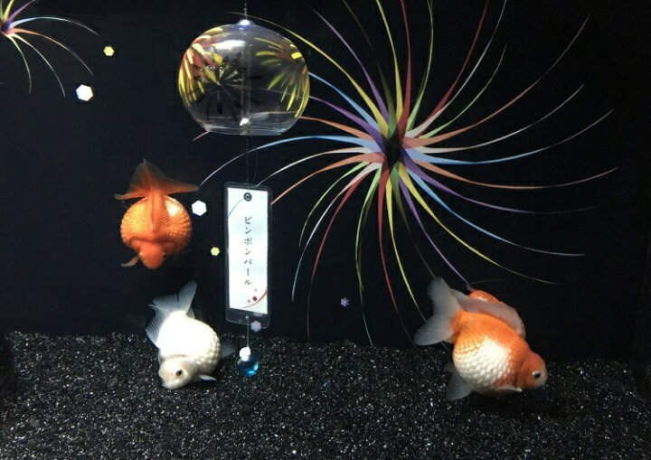 楽天市場 絵画風 壁紙ポスター はがせるシール式 金魚 ピンポンパール まん丸 水槽 花火 風鈴 かわいい キャラクロ Fkng 001a2 版 594mm 4mm 建築用壁紙 耐候性塗料 インテリア レアルインターショップ