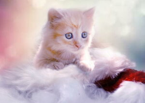 G敗 ǎ|X^[ (͂V[) ybg L qL Lbg LN PET-004A2 (A2 594mm×420mm) { EH[XebJ[ C|X^[