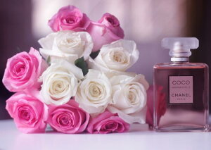 G敗 ǎ|X^[ (͂V[) oƍ RRVl  sN KN  LN FROS-007A2 (A2 594mm×420mm) { EH[XebJ[ C|X^[