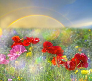 G敗 ǎ|X^[ (͂V[) |s[ ƃ|s[̃NX^ȃn[j[ qiQV  t[ Ԕ LN FPPY-003S1 (674mm×594mm) { EH[XebJ[ C|X