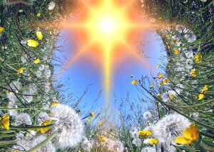 G敗 ǎ|X^[ (͂V[) zƃ^|| ^|| tH[JX p cd~OT ۑ  LN FTPP-010A2 (A2 594mm×420mm) { EH[XebJ[ C|X