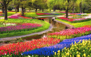 G敗 ǎ|X^[ (͂V[) `[bv X، `[bvK[f Ԕ LN FLGD-007W1 (Ch 921mm×576mm) { EH[XebJ[ C|X^[