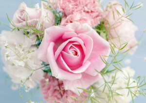 G敗 ǎ|X^[ (͂V[) sÑo Abv KN nCubhEeB[ _[Y  LN FROS-013A2 (A2 594mm×420mm) { EH[XebJ[ C|X^