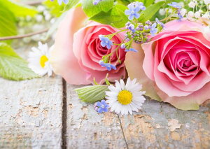 G敗 ǎ|X^[ (͂V[) sÑo Abv J~[ KN nCubhEeB[ _[Y  LN FROS-014A1 (A1 830mm×585mm) { EH[XebJ[ 