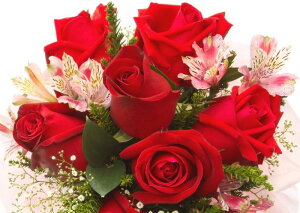 G敗 ǎ|X^[ (͂V[) Ԃo u[P KN nCubhEeB[ _[Y  LN FROS-018A2 (A2 594mm×420mm) { EH[XebJ[ C|X^[