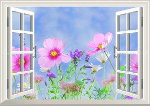 G敗 ǎ|X^[ (͂V[) -̌iF- RXX H ALUN ydl^gbNA[gz LN FCMS-010MA2 (A2 594mm×420mm) { EH[XebJ[ C|X