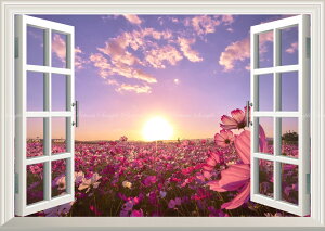 G敗 ǎ|X^[ (͂V[) -̌iF- ẴRXX ̏o z TCY RXX K[f ydl^gbNA[gz LN FLGD-004MA2 (A2 594mm×420mm) {