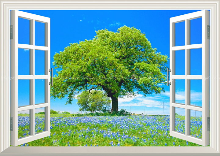 楽天市場 絵画風 壁紙ポスター はがせるシール式 窓の景色 ムスカリの花 青空と大木と花畑 ブドウヒヤシンス 窓仕様 トリックアート キャラクロ Flgd 005ma1 A1版 0mm 585mm 建築用壁紙 耐候性塗料 インテリア レアルインターショップ 楽天市場 絵画風 壁紙ポスター はがせるシール式 窓の景色 ムスカリの花 青空と大木と花畑 ブドウヒヤシンス 窓仕様 トリックアート キャラクロ Flgd 005ma1 A1版 0mm 585mm 建築用壁紙 耐候性塗料 インテリア レアルインターショップ