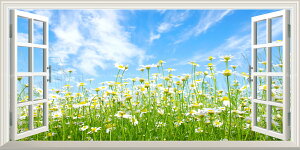 G敗 ǎ|X^[ (͂V[) -̌iF- J~[Ɛ Ԕ t[K[f ydl^gbNA[gz LN FLGD-103MS1 (pm}S 1152mm×576mm) { EH[