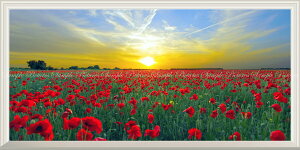 G敗 ǎ|X^[ (͂V[) -̌iF- z𗁂тʂ̋l qiQV |s[ ̏o Ă Ԕ pm} yȂdlz LN FLGD-105NS1 (pm}S 1152mm×576