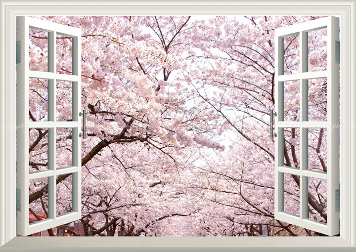 楽天市場 絵画風 壁紙ポスター はがせるシール式 窓の景色 さくらの開花 春の景色 桜の木 サクラ 八重桜 ソメイヨシノ 窓仕様 トリックアート キャラクロ Fskr 025ma2 版 594mm 4mm 建築用壁紙 耐候性塗料 インテリア レアルインターショップ