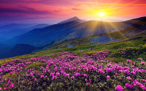 G敗 ǎ|X^[ (͂V[) ̏o Ă  x_[ i _  p[ ґz LN SSRS-005W1 (Ch 921mm×576mm) { EH[XebJ[ C|X^