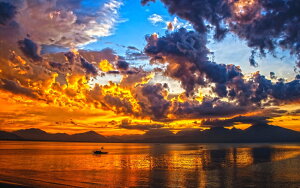 �G�敗 �ǎ��|�X�^�[ (�͂�����V�[����) �_�i���̗[�Ă� �x�g�i�� ���v �T���Z�b�g �C �L�����N�� SSST-005W2 (���C�h�� 603mm×376mm) �����{���� �E�H�[���X�e�b�J�[ �����C�|�X�^�[