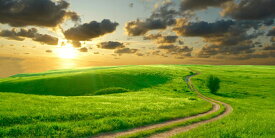 楽天市場 ウォールステッカー 夕焼けの通販