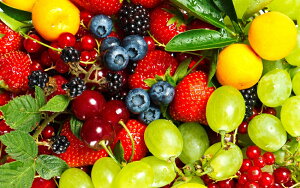 G敗 ǎ|X^[ (͂V[) N₩ȃx[ƃ`F[ƃ}XJbg C`S uhE  t[c ʕ LN FFRT-009W2 (Ch 603mm×376mm) { EH[XebJ