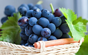 G敗 ǎ|X^[ (͂V[) tbVȃuhE Ԃǂ  oXPbg t t[c ʕ LN FFRT-011W2 (Ch 603mm×376mm) { EH[XebJ[ C|X