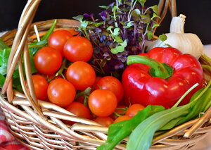 G敗 ǎ|X^[ (͂V[) s[}ƃv`g}g̑N₩ȃRrl[V NX  oXPbg Lb` LN FVEG-009A1 (A1 830mm×585mm) { EH[Xe