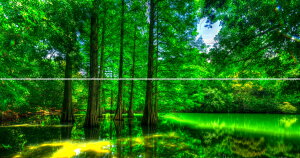 G敗 ǎ|X^[ (͂V[) y㉺2dlz-n̎B- ̊XɌꂽِEAI ̐X̗Hsʐ^/YYt LN C-ZJP-006X1W (pm}X 22