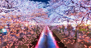 G敗 ǎ|X^[ (͂V[) y㉺2dlz-n̎B- PʁAsڍ̖CgAbv sʐ^/YYt LN C-ZJP-007X1W (pm}X 22