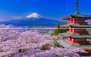 G敗 ǎ|X^[ (͂V[) y㉺2dlz-n̎B- THE JAPANȐiAxmVqRԌ̒쓃ƍ xmRsʐ^/YYt LN C-ZJP-010L1W (pm