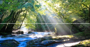 G敗 ǎ|X^[ (͂V[) y㉺2dlz-n̎B- ̃V[Ɣ̐AerkJ̐i F{erssʐ^/YYt LN C-ZJP-021X1W (