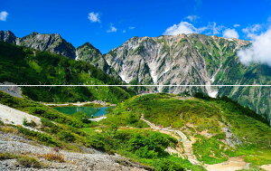 G敗 ǎ|X^[ (͂V[) y㉺2dlz-n̎B- nORʂr̐iƓxoRsʐ^/YYt LN C-ZJP-032L1W (pm}L 1843mm×576mm×