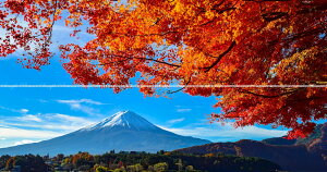 G敗 ǎ|X^[ (͂V[) y㉺2dlz-n̎B- ͌΂̍gt܂ƕxmRsʐ^/YYt LN C-ZJP-036X1W (pm}X 2210mm×576mm×2){