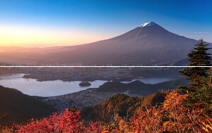 G敗 ǎ|X^[ (͂V[) y㉺2dlz-n̎B- V̕xmRƉ͌ gt [Ăsʐ^/YYt LN C-ZJP-037L1W (pm}L 1843mm×576mm×2