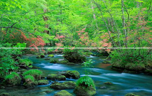 G敗 ǎ|X^[ (͂V[) y㉺2dlz-n̎B- ccWfV΂̉k X\acssʐ^/YYt LN C-ZJP-046L1W (pm}L 1843mm×