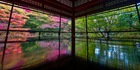 楽天市場 紅葉京都の通販
